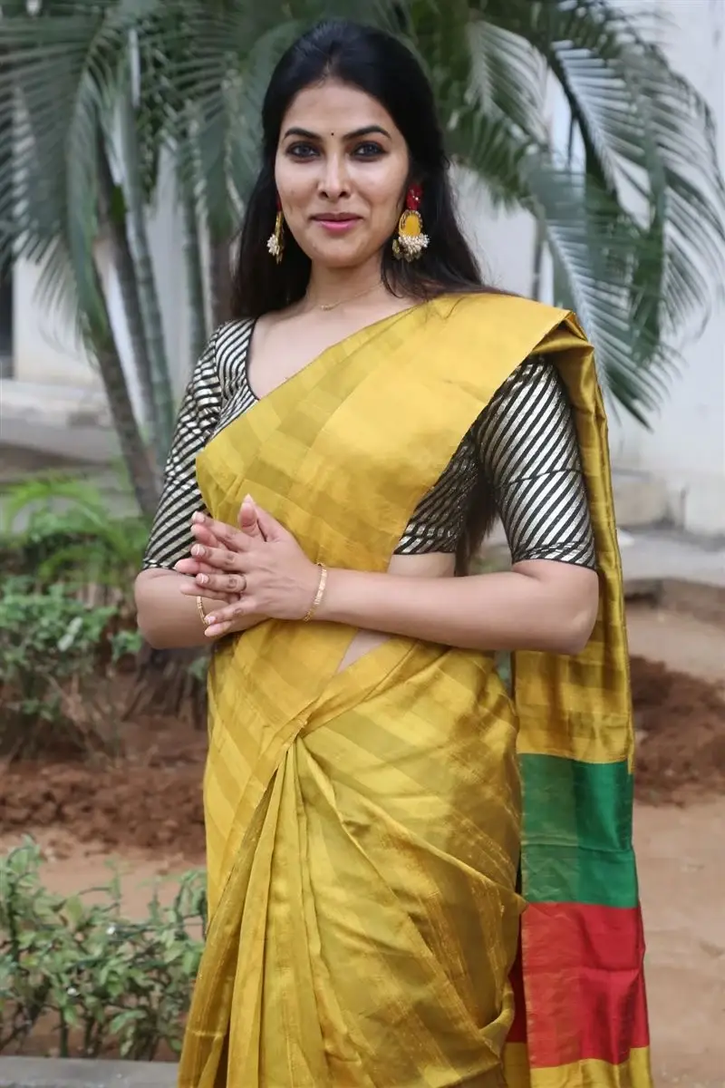 ACTRESS DIVI VADTHYA IN YELLOW SAREE AT LAMBASINGI MOVIE MEET 2